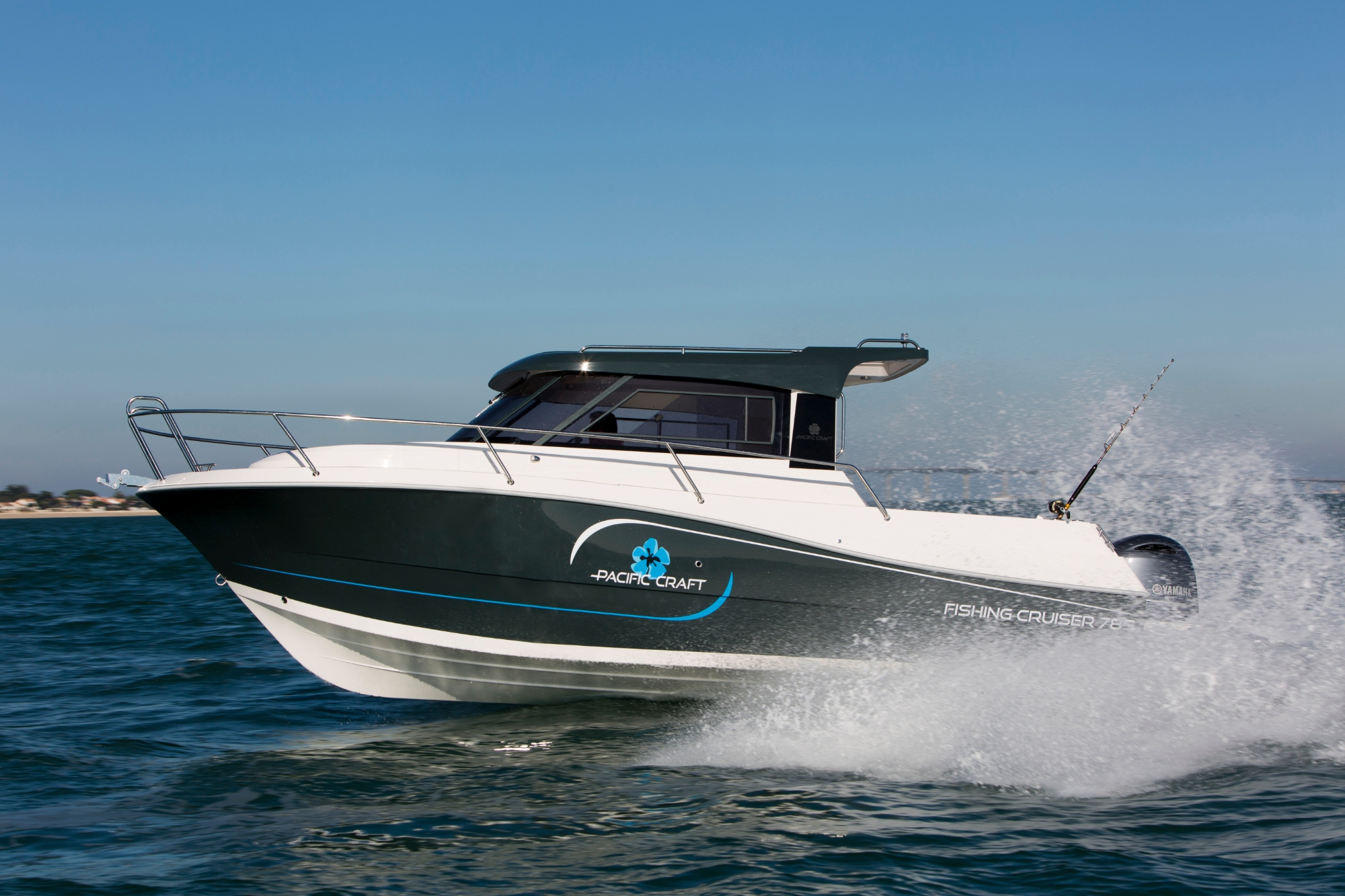 785 Timonier